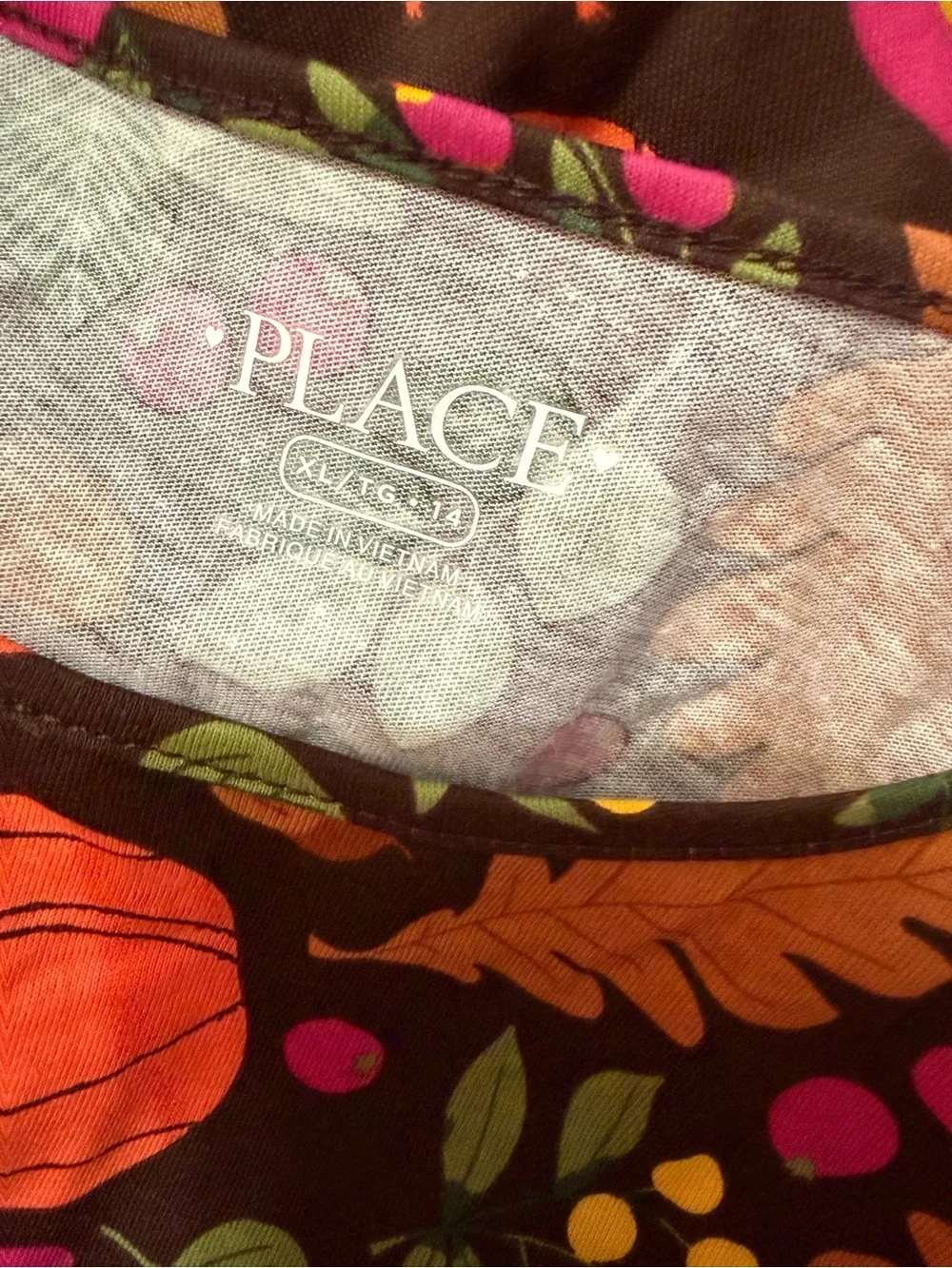 NWT Children’s Place Fall Dress